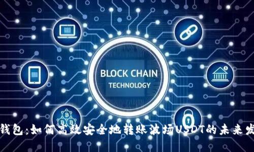 探秘TP钱包：如何高效安全地转账波场USDT的未来发展趋势