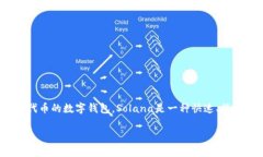 在加密货币的世界中，选择合适的钱包