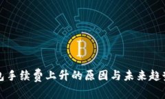 TP钱包手续费上升的原因与未来趋势分