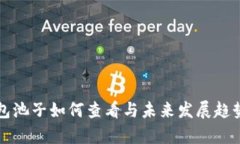 TP钱包池子如何查看与未来发展趋势分
