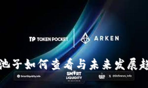 TP钱包池子如何查看与未来发展趋势分析