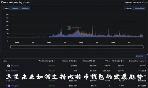 三星未来如何支持比特币钱包的发展趋势