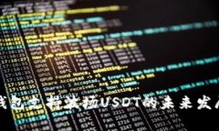 去中心化钱包支持波场USDT的未来发展