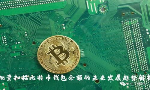 批量扫描比特币钱包余额的未来发展趋势解析