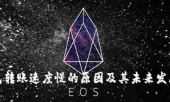 TP钱包转账速度慢的原因及其未来发展