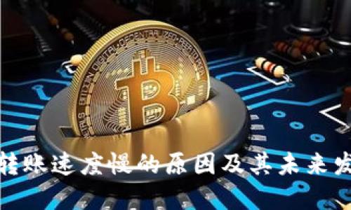 TP钱包转账速度慢的原因及其未来发展趋势