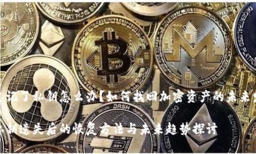 tp钱包忘记了私钥怎么办？如何找回加密资产的未来发展趋势

tp钱包私钥遗失后的恢复方法与未来趋势探讨