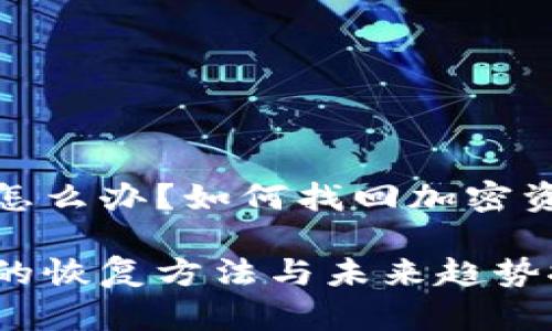 tp钱包忘记了私钥怎么办？如何找回加密资产的未来发展趋势

tp钱包私钥遗失后的恢复方法与未来趋势探讨