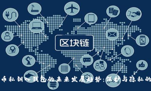 比特币私钥入钱包的未来发展趋势：保护与隐私的平衡