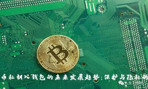 比特币私钥入钱包的未来发展趋势：保护与隐私的平衡