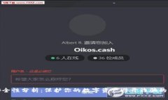 TP钱包安全性分析：保护你的数字资产