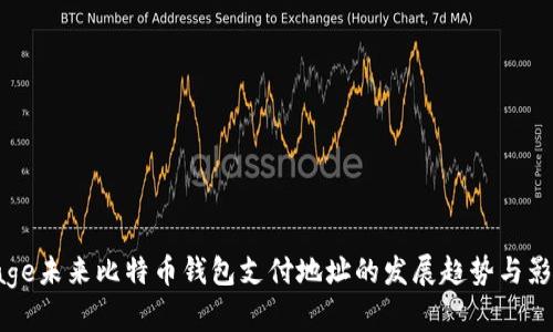 bage未来比特币钱包支付地址的发展趋势与影响