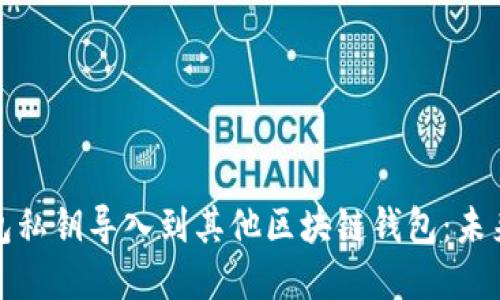 如何将TP钱包私钥导入到其他区块链钱包：未来发展与趋势