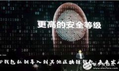如何将TP钱包私钥导入到其他区块链钱