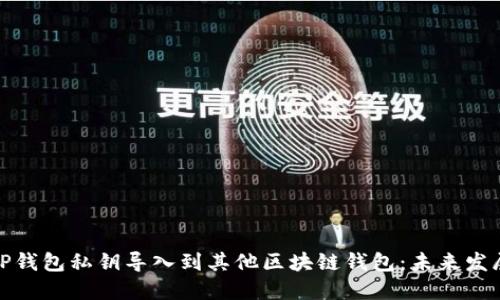 如何将TP钱包私钥导入到其他区块链钱包：未来发展与趋势