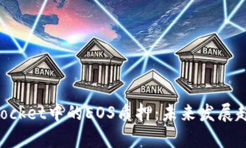 TokenPocket中的EOS质押:未来发展趋势解析