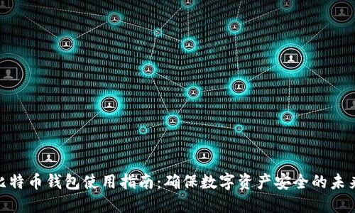 硬件比特币钱包使用指南:确保数字资产安全的未来趋势