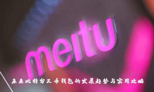 未来比特分叉币钱包的发展趋势与实用攻略