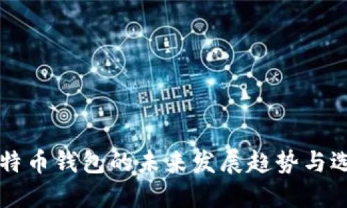 详解比特币钱包的未来发展趋势与选择指南