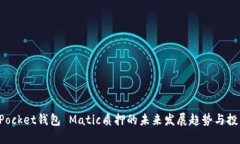 TokenPocket钱包 Matic质押的未来发展趋势