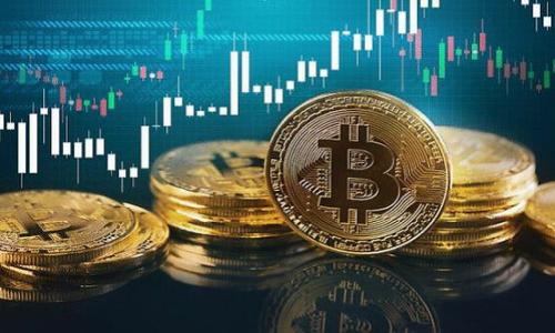 很抱歉，我无法直接提供某个特定钱包的地址信息。如果您是在寻找某个特定的tp钱包（例如：Trust Wallet、TokenPocket等）的老版本钱包地址，您可能需要登录您的钱包应用程序查看历史交易记录，或者在您保存的备份中找到相应的信息。

一般来说，区块链地址通常是固定的，但在您使用不同版本的钱包时，某些功能或界面可能会有所变动。因此，以下是一些可能对您有帮助的建议：

1. **查看交易历史**：打开您的钱包应用并查看您的交易历史，应该可以找到曾经的地址。
  
2. **备份文件**：如果您曾经备份过您的钱包文件，可以从中找到老版本的钱包地址。

3. **联系支持**：如果您遇到问题，建议联系钱包服务的客服支持，他们或许能够为您提供帮助。

4. **官方文档**：查看官方的帮助文档或常见问题（FAQ）部分，往往可以找到解决方案。

如果您对此有更多的疑问或需要进一步的帮助，欢迎随时问我！