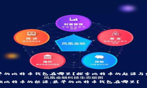 最早的比特币钱包在哪里？探索比特币的起源与发展

追溯比特币的根源：最早的比特币钱包在哪里？