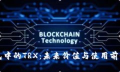 TP钱包中的TRX：未来价值与使用前景分