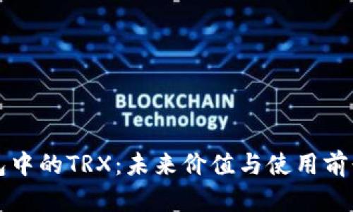TP钱包中的TRX：未来价值与使用前景分析