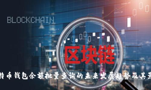比特币钱包余额批量查询的未来发展趋势及其影响