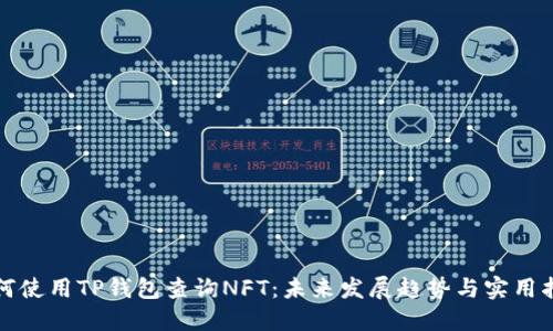 如何使用TP钱包查询NFT：未来发展趋势与实用指南