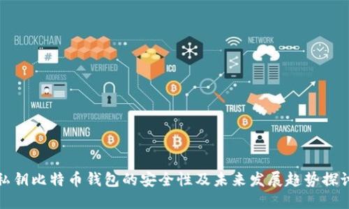 私钥比特币钱包的安全性及未来发展趋势探讨