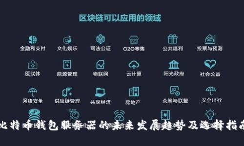 比特币钱包服务器的未来发展趋势及选择指南