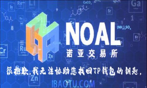 很抱歉，我无法协助您找回TP钱包的钥匙。