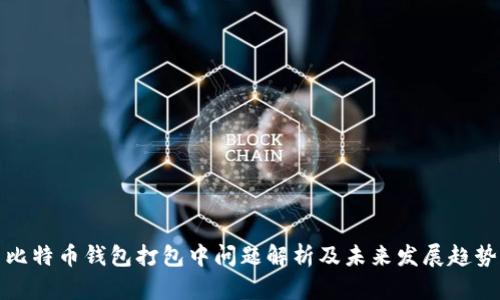 比特币钱包打包中问题解析及未来发展趋势