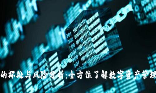 TP钱包的坏处与风险分析：全方位了解数字资产管理的挑战