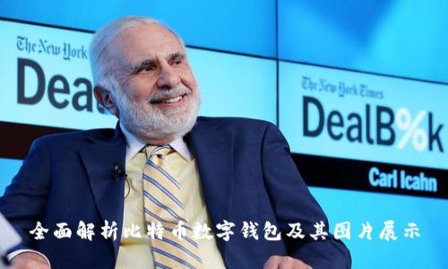 全面解析比特币数字钱包及其图片展示