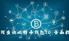 如何查询比特币钱包ID：全面指南